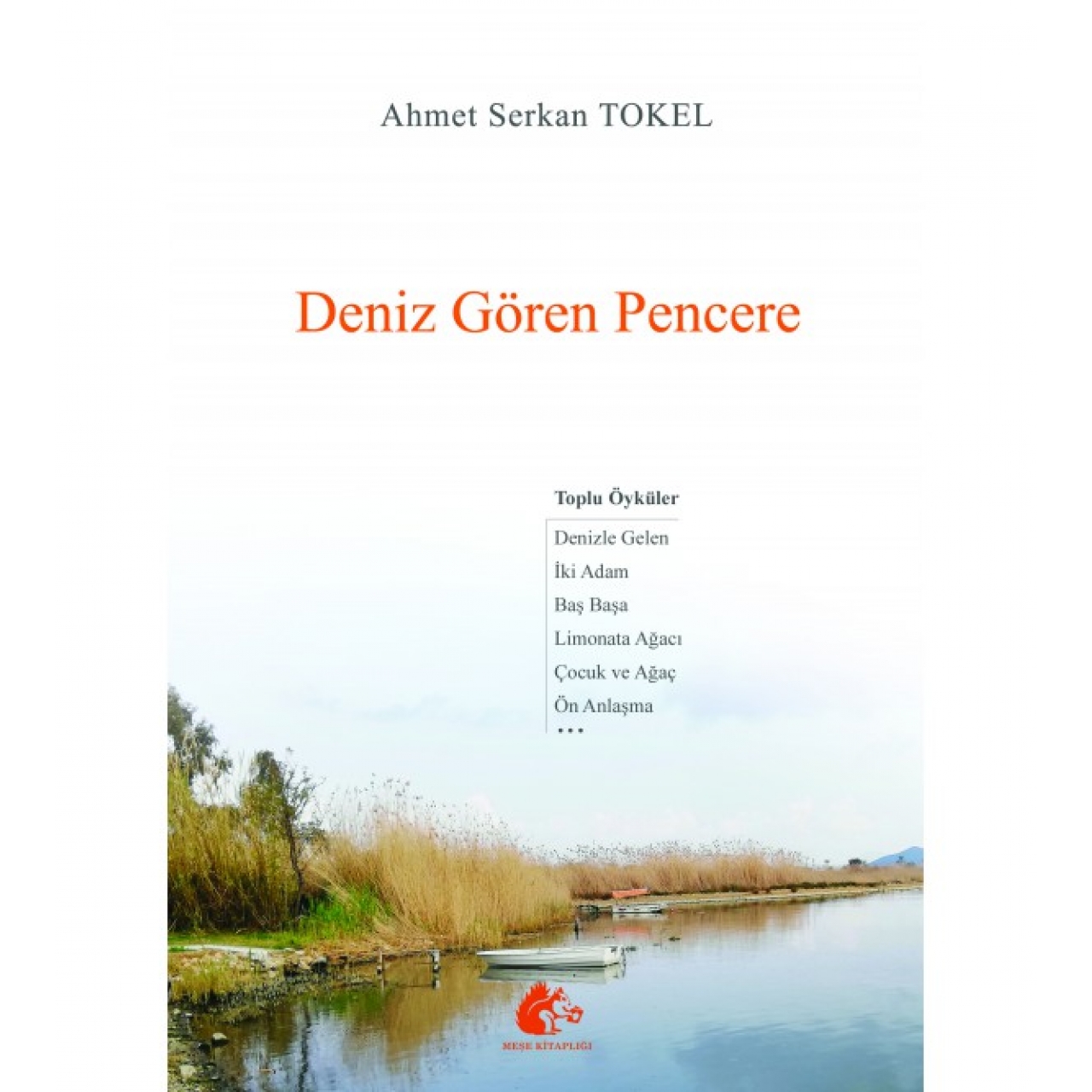 Deniz Gören Pencere - Ahmet Serkan Tokel